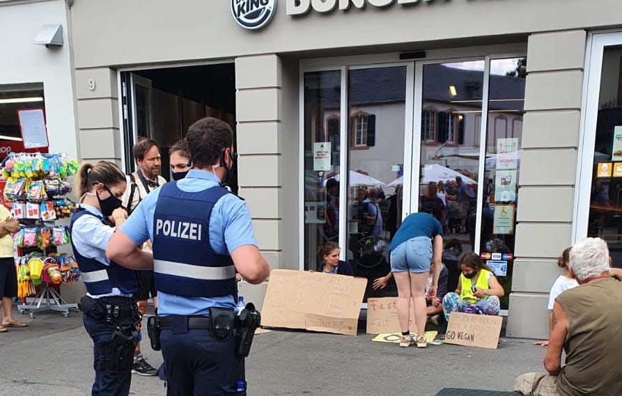 ++ Demo am Samstag: “Alte Bekannte” – “Öko-Radikale” ziehen durch Trierer Innenstadt ++