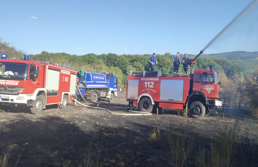 ++ Aktuell: Großer Waldbrand in Wiltingen – über 180 Einsatzkräfte vor Ort ++